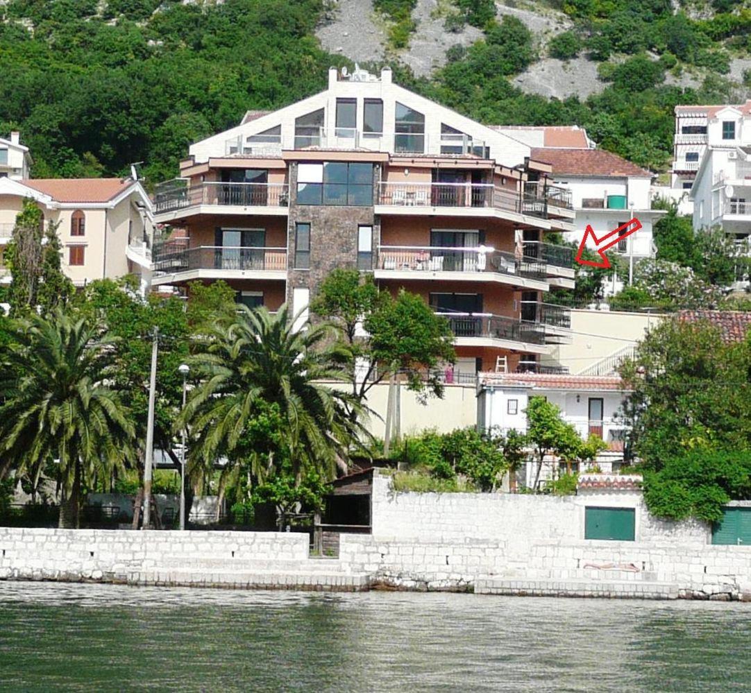 Apartments Coral Kotor Bagian luar foto